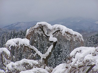 e0170863_2132590.jpg