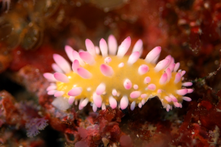 c0181073_20155692.jpg