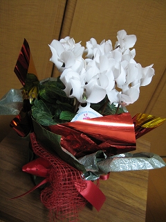 e0167373_533135.jpg