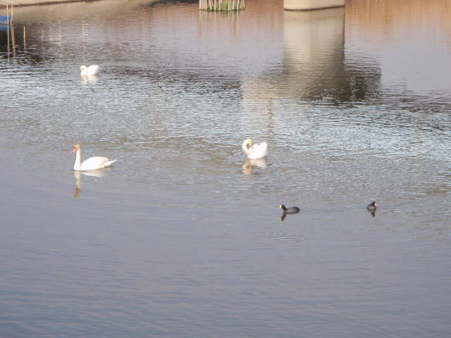 a0113874_20554298.jpg