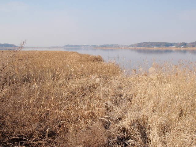 a0113874_20561910.jpg