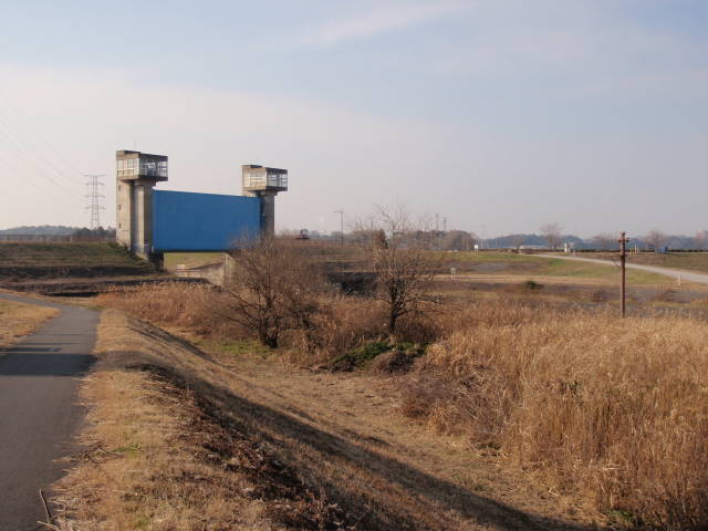 a0113874_20592657.jpg