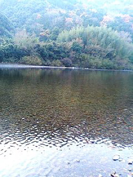 f0054677_9324054.jpg