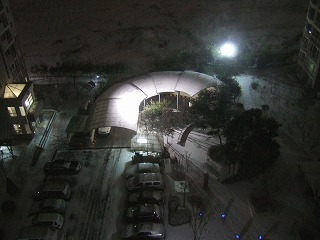 a0079990_155716.jpg