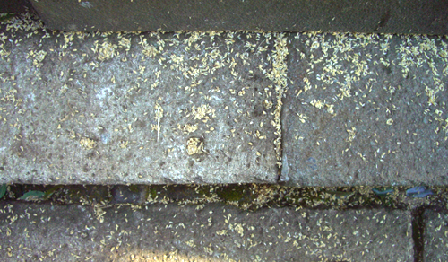 b0099994_12282725.jpg