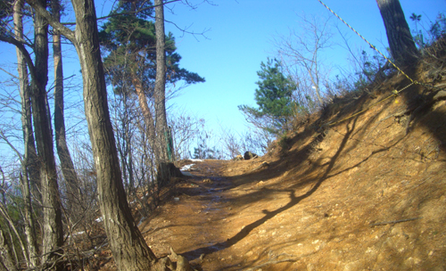 b0099994_12291796.jpg
