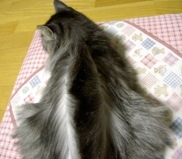 c0213598_20402158.jpg