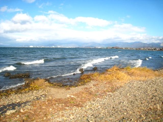 d0121300_1221271.jpg