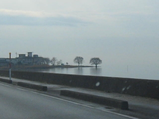 d0121300_1225369.jpg
