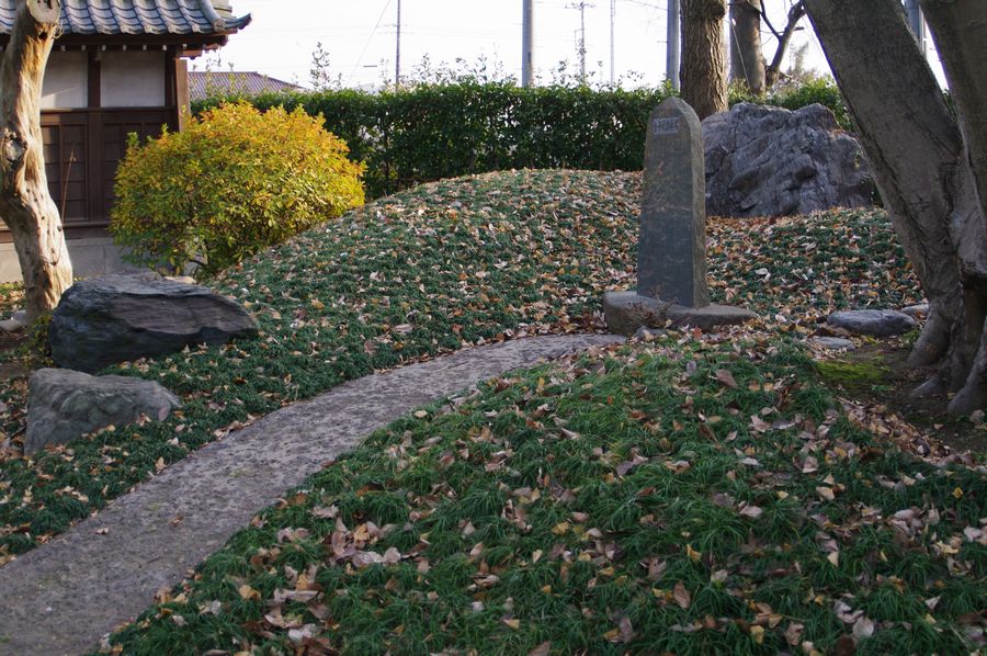 c0187503_16494392.jpg