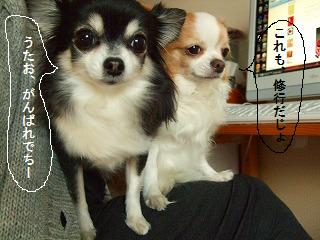c0162005_2119243.jpg