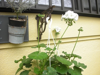 f0035506_7223461.jpg