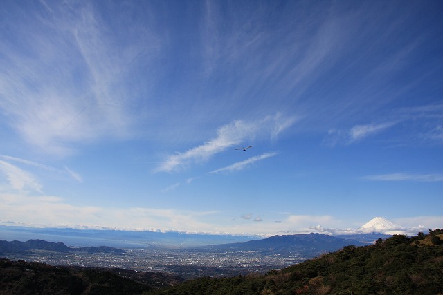 f0039907_2331330.jpg