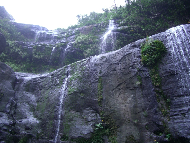 b0143709_5552173.jpg