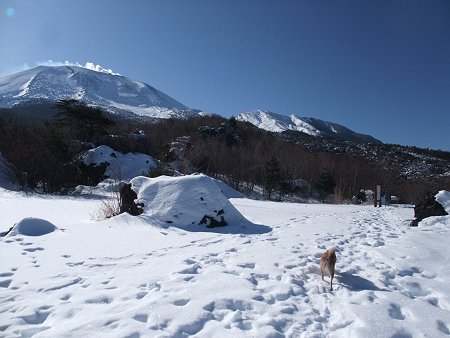 d0143214_0492336.jpg