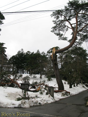 f0078014_23424670.jpg
