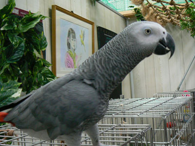 e0148120_3222626.jpg