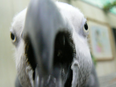 e0148120_3223870.jpg