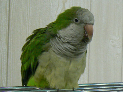 e0148120_3231147.jpg