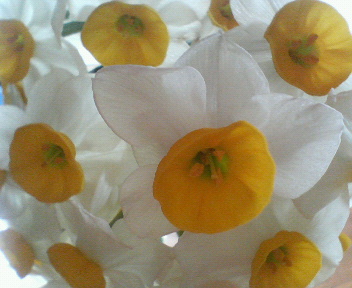 f0036223_18303690.jpg