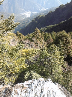 a0126128_15405938.jpg