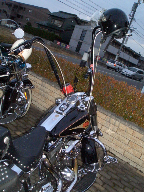 a0099129_2243491.jpg