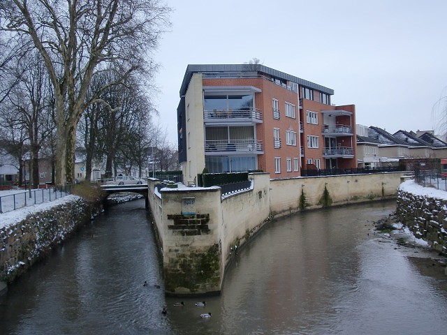 a0148431_16441480.jpg