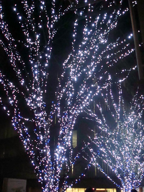 a0046339_1355953.jpg