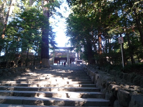 b0041442_16282626.jpg