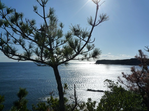 b0041442_16324264.jpg