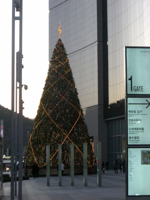 d0097144_1841889.jpg