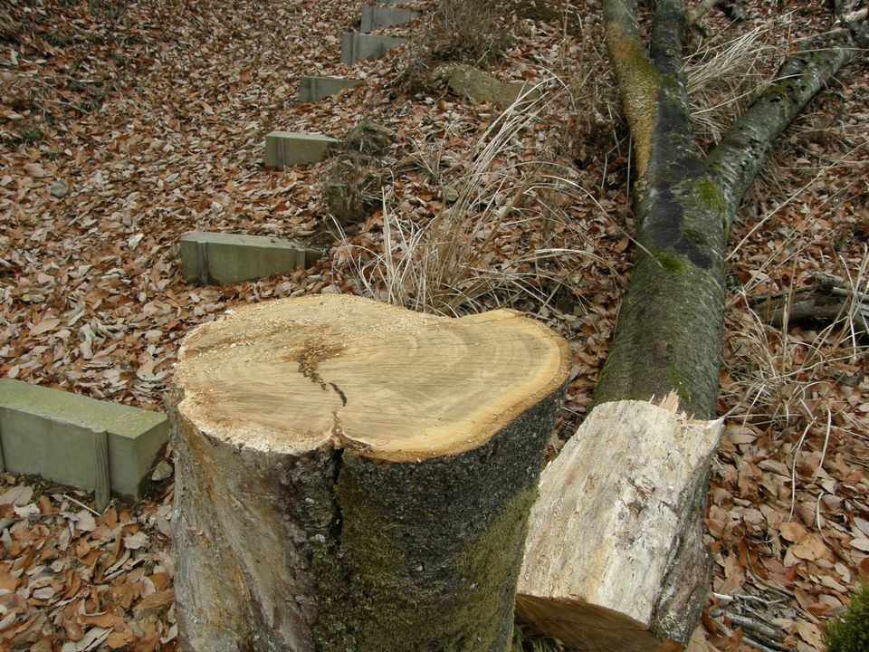 f0090444_22151672.jpg