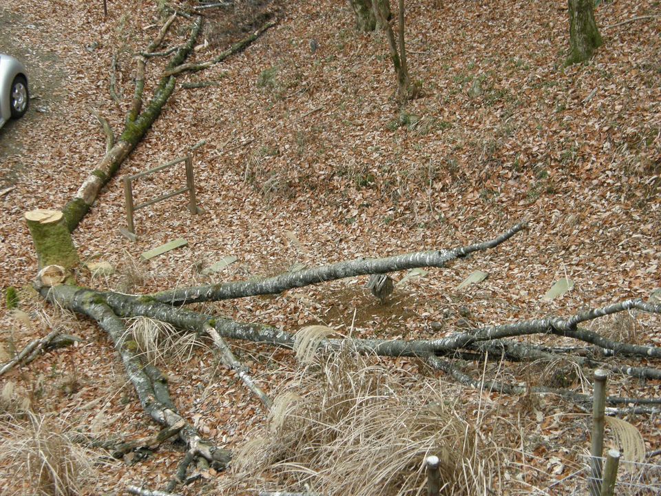f0090444_22155588.jpg