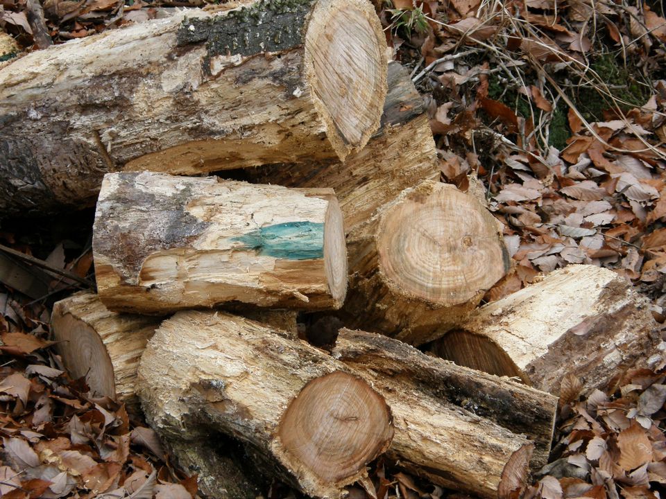f0090444_22182058.jpg
