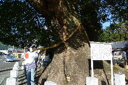 e0111346_11485349.jpg