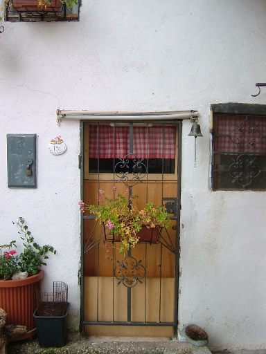 c0078451_3362911.jpg