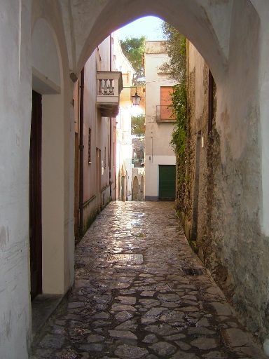 c0078451_7261057.jpg