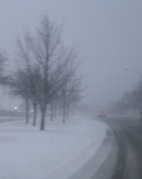 c0111254_13461614.jpg