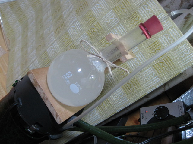 a0148456_17371621.jpg
