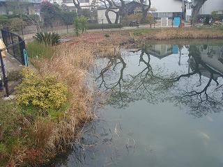 f0062462_1041492.jpg