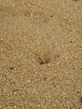 c0102268_17411850.jpg