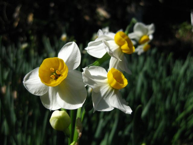 c0042869_21534057.jpg