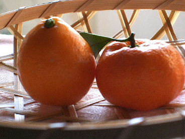 f0039281_21265422.jpg