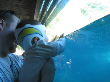 f0068883_15401071.jpg