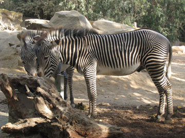 f0068883_15405763.jpg