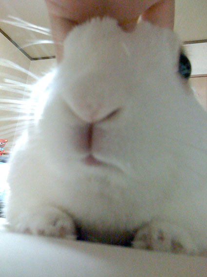 f0201191_10224282.jpg