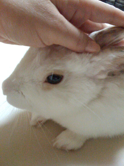 f0201191_10225668.jpg