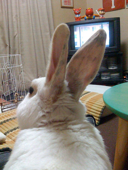 f0201191_1022893.jpg