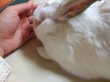 f0201191_10232117.jpg
