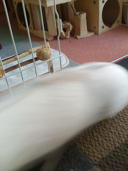 f0201191_1044720.jpg